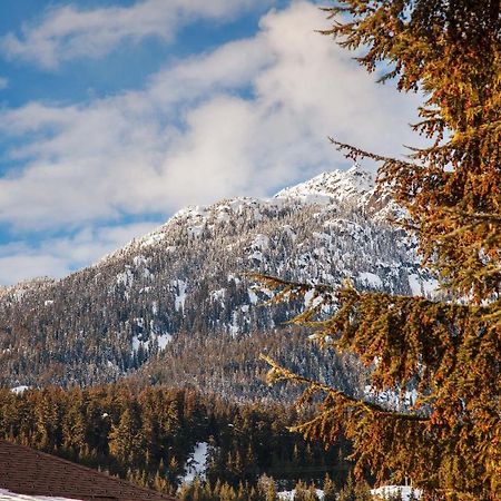 Updated Whistler Creek Studio With Parking Dış mekan fotoğraf