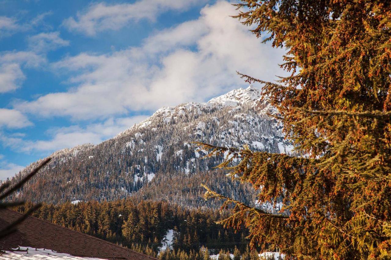 Updated Whistler Creek Studio With Parking Dış mekan fotoğraf